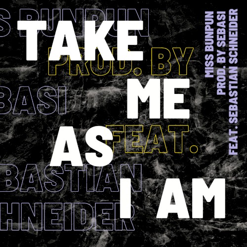 Take Me as I Am