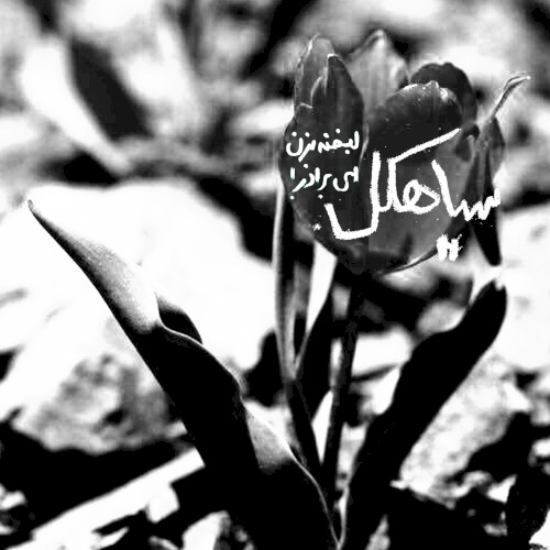 لبخند بزن ای برادر / "Smile Brother"