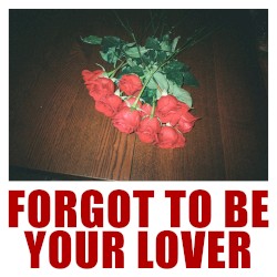 Forgot to Be Your Lover