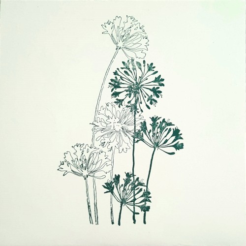 Demos, Live Recordings, & Works in Progress