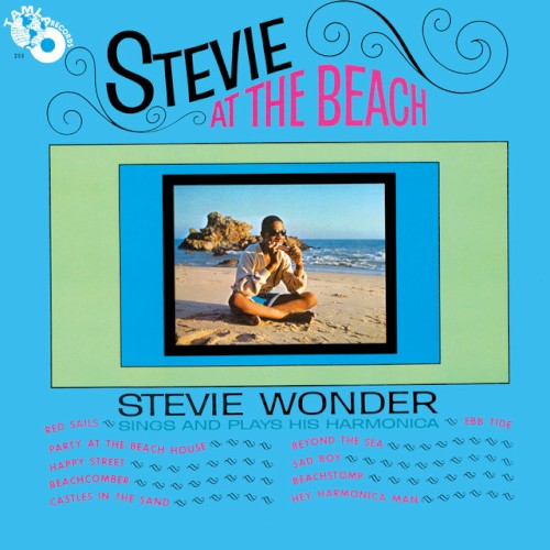 Stevie at the Beach