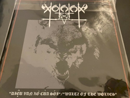 Diệu Van Xơ Của Sói / Waltz Of The Wolves