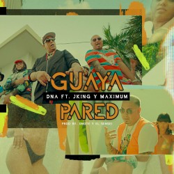 Guaya pared
