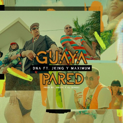 Guaya pared