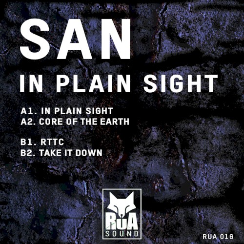 In Plain Sight