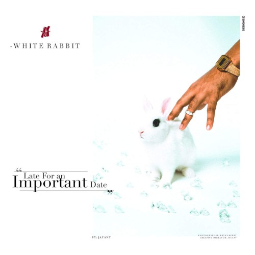 White Rabbit