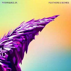 Feathers & Bones