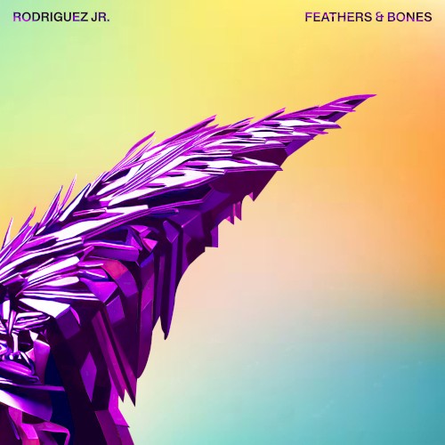 Feathers & Bones