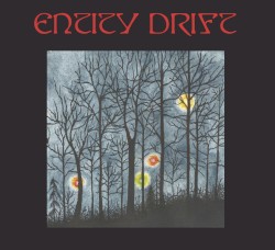 Entity Drift