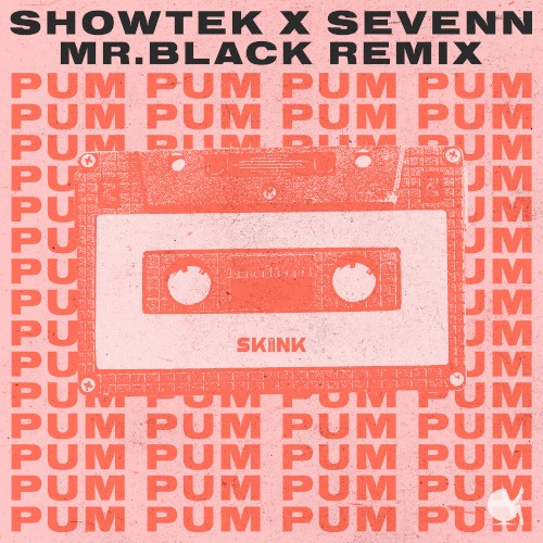 Pum Pum (MR.BLACK Remix)