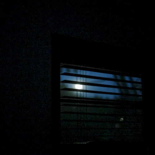 nothing is real, part XV