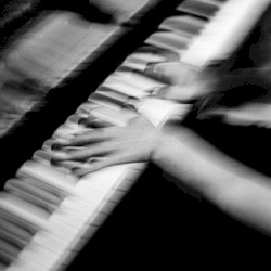 reckless and arranged - day 56 (extended)