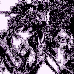 ｏ ｈ ａ ｙ ｏ ｕ ｓ ａ ｙ ｏ ｒ ｉ ゖ鉛ぬレょグ 遺円エ鋭ォコ ボ
