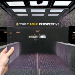 Perspective