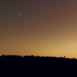 horizon