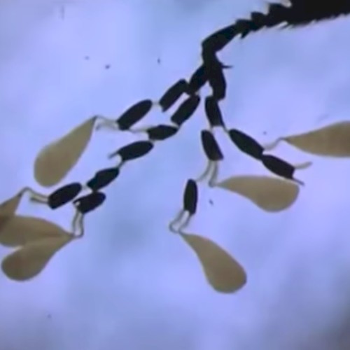 雰囲気