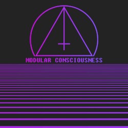 Modular Consciousness