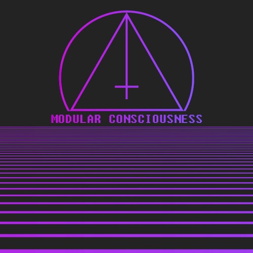 Modular Consciousness