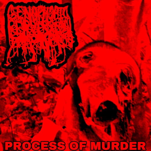 Process of Murder