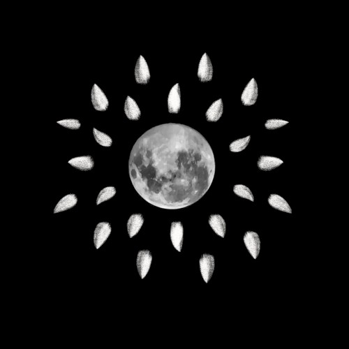 XVIII - Luna llena
