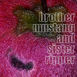 brother mustang and sister ripper