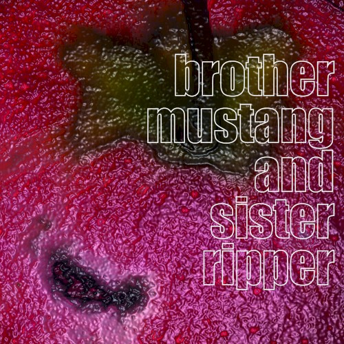 brother mustang and sister ripper
