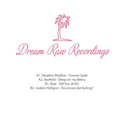 12" V/A DRR006