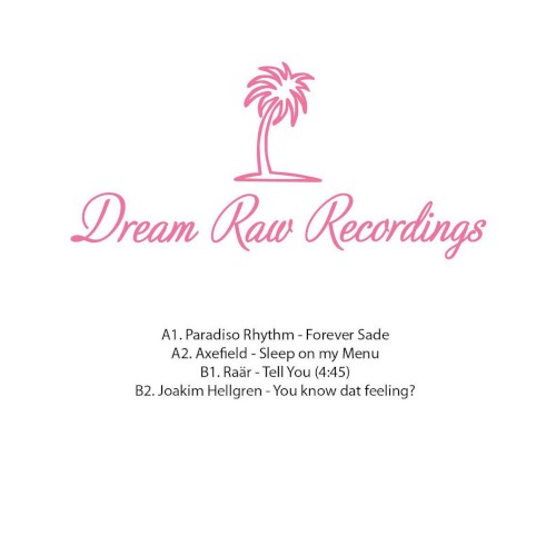 12" V/A DRR006