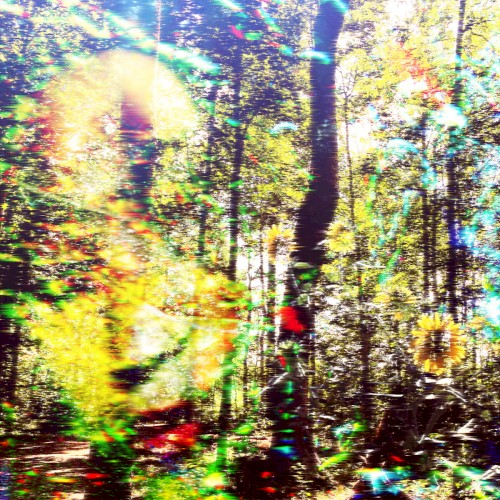 Ontogeny