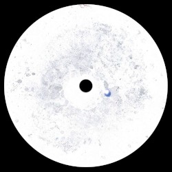 Residual Music