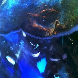 Xylem
