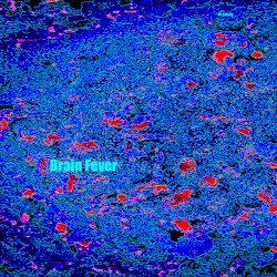 Brain Fever