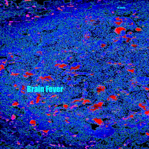 Brain Fever