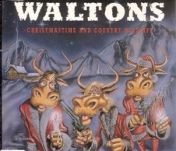 Christmastime and Country Wildlife