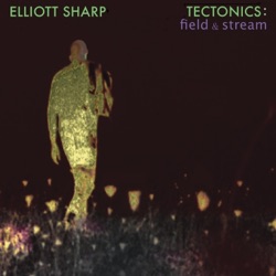 Tectonics: Field & Stream