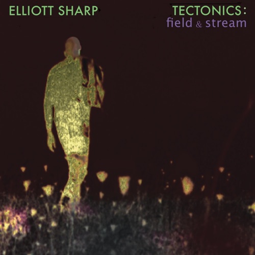 Tectonics: Field & Stream