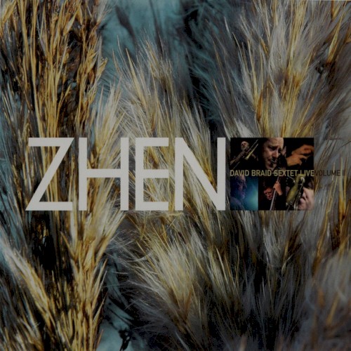 ZHEN: David Braid Sextet Live II