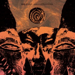 Hallucinations