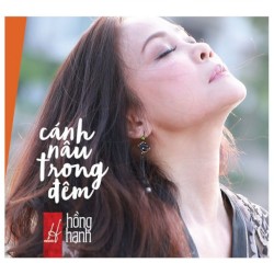 Cánh Nâu Trong Đêm