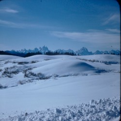 Mount St. Patrick