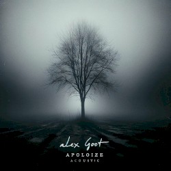 Apologize (acoustic)
