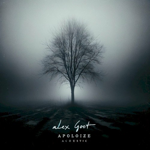 Apologize (acoustic)