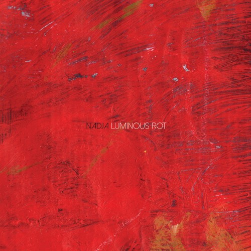 Luminous Rot