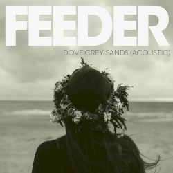 Dove Grey Sands (acoustic version)