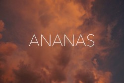 Ananas