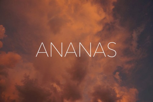 Ananas