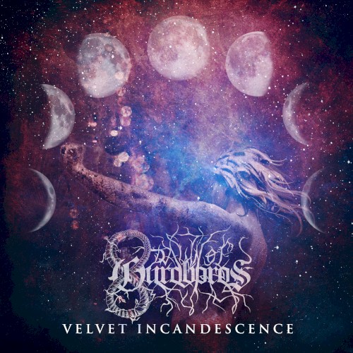 Velvet Moon