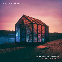 Forever (Laxcity remix)