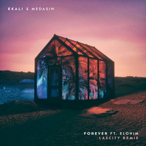 Forever (Laxcity remix)