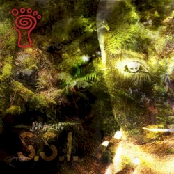 S.S.I.